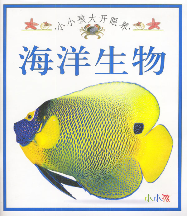 小小孩大开眼界:海洋生物