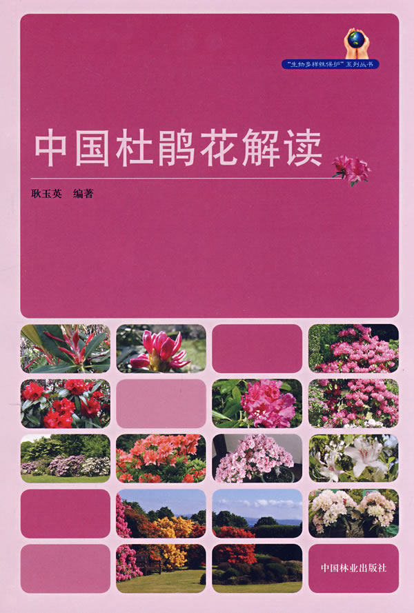 中国杜鹃花解读