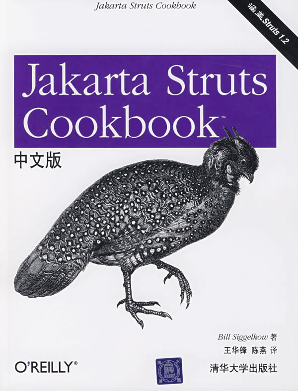 JakartaStrutsCookbook中文版