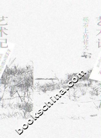 艺术记:砾石上的铭文