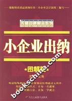小企业出纳图解版