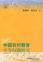 中国农村教育平等问题研究