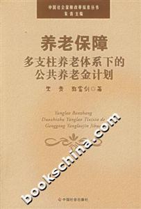 养老保障多支柱养老体系下的公共养老金计划