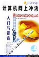 计算机网上冲浪入门与提高