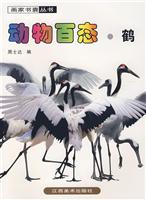 动物百态-鹤
