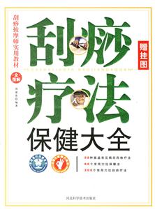 刮痧疗法保健大全