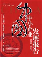 中国中小企业发展报告-(2006-2007)