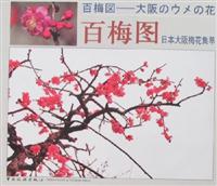 百梅图：日本大阪梅花集萃