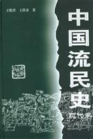 中国流民史：现代卷