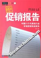 中国市场促销报告