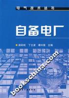 自备电厂