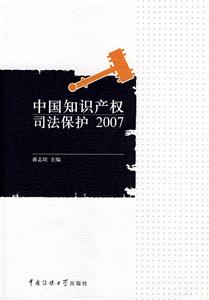 中国知识产权司法保护(2007)