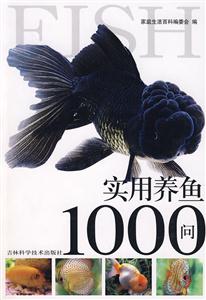 ʵ1000