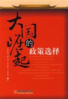 大国崛起的政策选择
