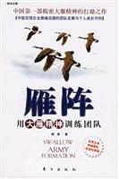 雁阵-用大雁精神训练团队