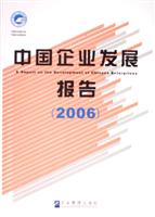 中国企业发展报告.2006