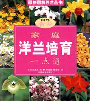 家庭洋兰培育一点通