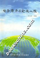 电子商务与金关工程