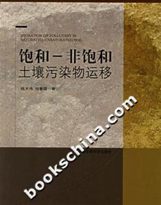 饱和-非饱和土壤污染物运移
