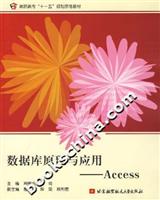 数据库原理与应用-Access