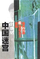中国迷宫