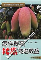 怎样提高杧果栽培效益