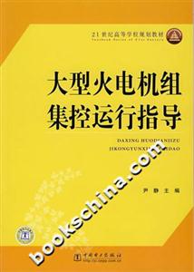 大型火電機組集控運行指導