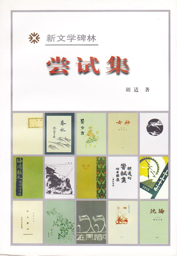 尝试集