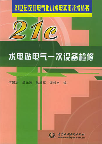 水电站电气一次设备检修
