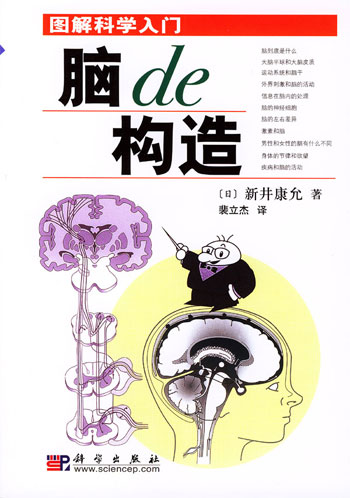 脑的构造