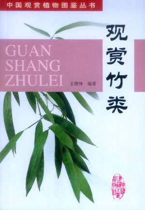 观赏竹类