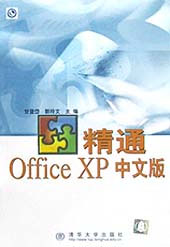 精通Office XP中文版