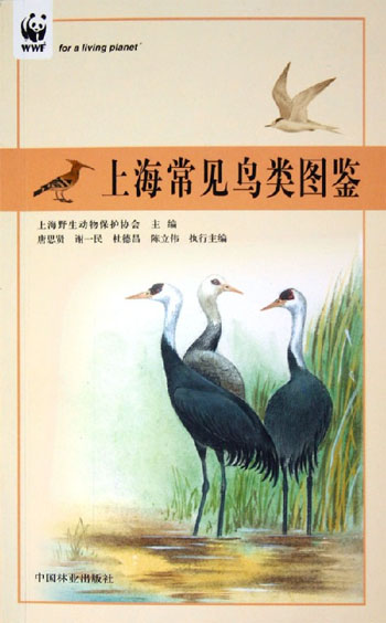 上海常见鸟类图鉴