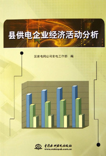 县供电企业经济活动分析