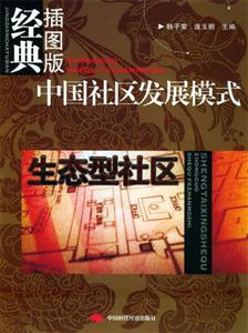 中国社区发展模式:生态型社区(经典插图版)-技术教育社区