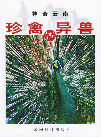 珍禽异兽