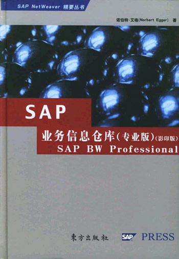SAP业务信息仓库(专业版)-SAP BW Professional(影印版)
