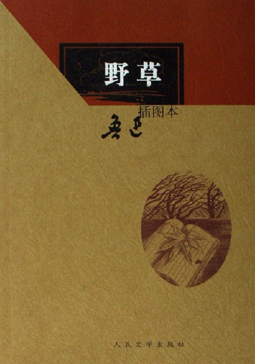 野草插图本