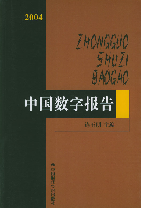 2004中国数字报告