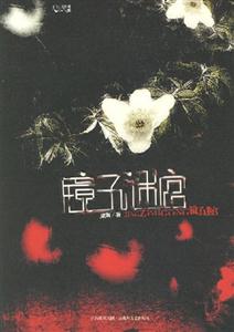 镜子迷宫-技术教育社区