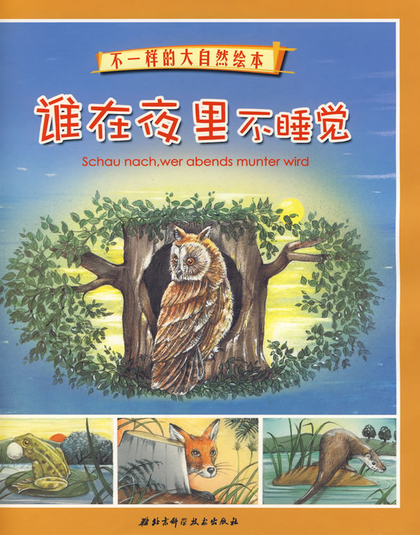 不一样的大自然绘本 谁在夜里不睡觉