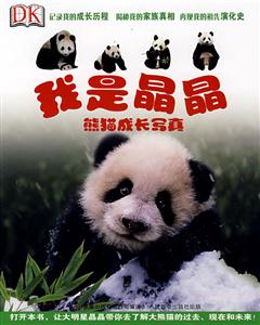 我是晶晶-熊猫成长写真-技术教育社区