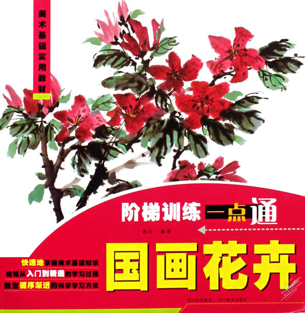 阶梯训练一点通.国画花卉