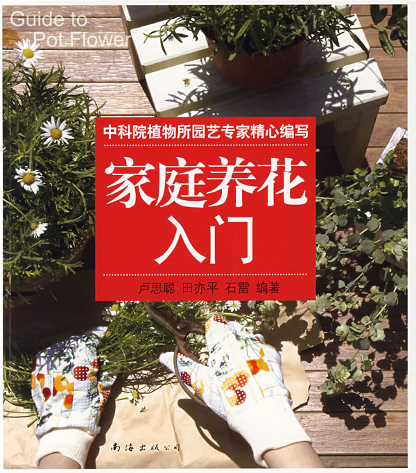 家庭养花入门