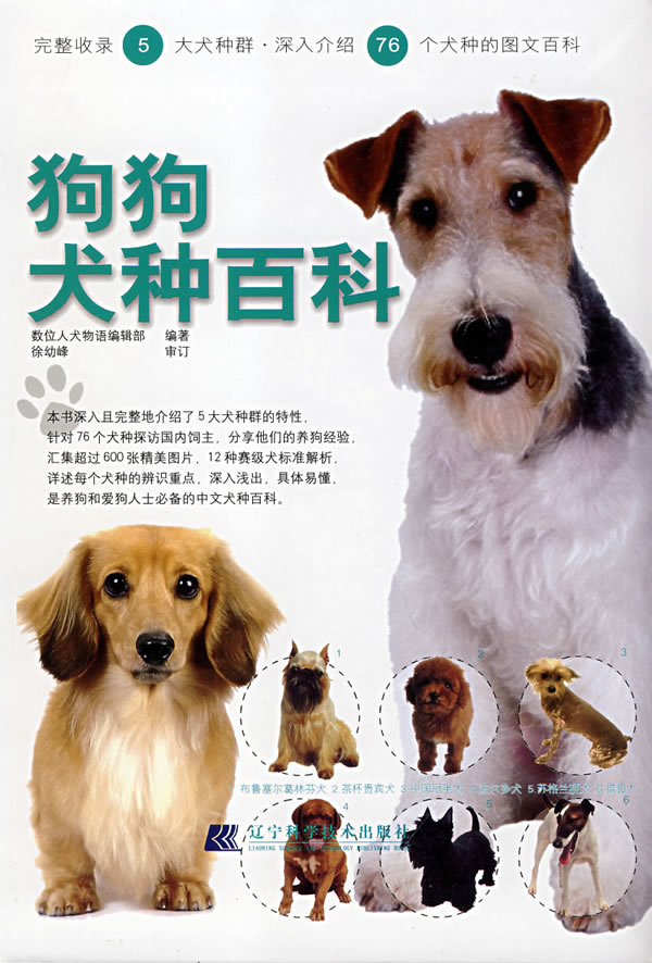 犬种大全全图,犬种大全品种,犬种大全_大山谷图库