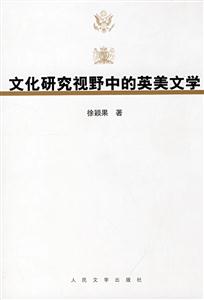 文化研究视野中的英美文学-技术教育社区