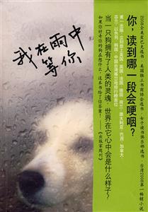 我在雨中等你-技术教育社区