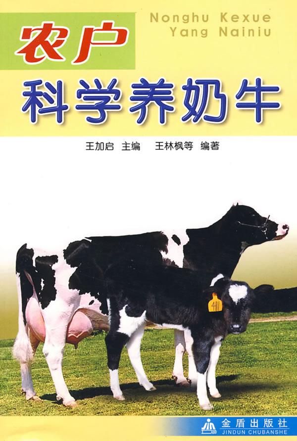 农户科学养奶牛