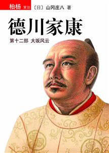 德川家康12 大坂风云-技术教育社区