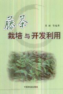 藤茶栽培与开发利用